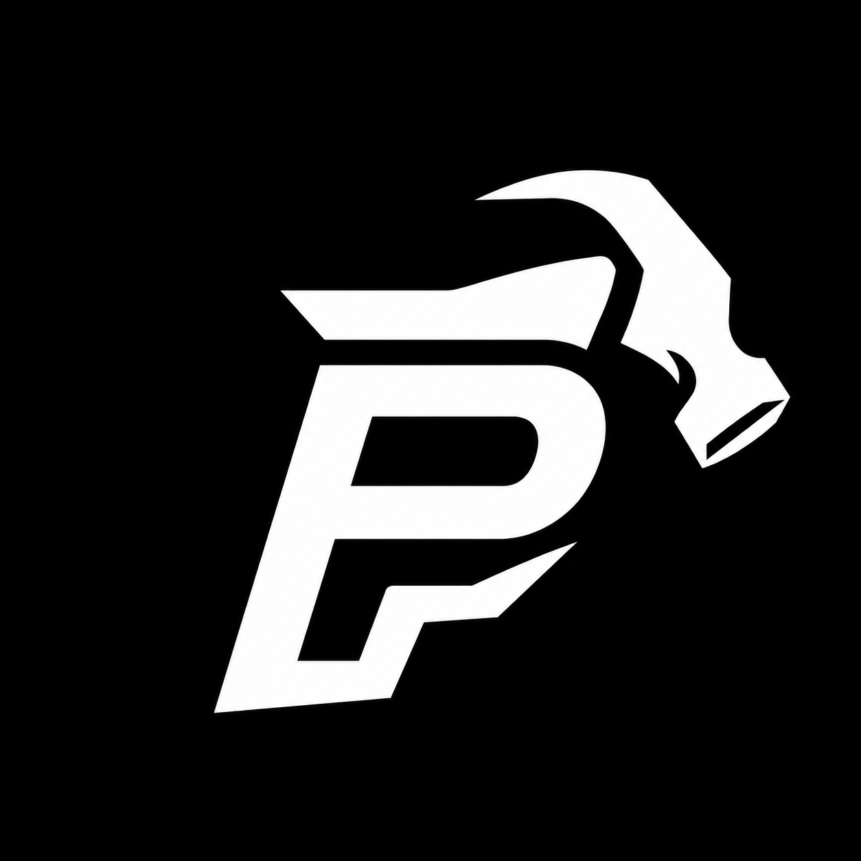 PaidTools logo